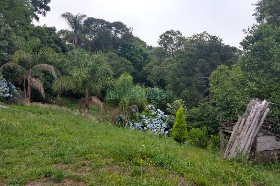 Chácara com 200m², 3 dormitórios, 1 vaga, no bairro Ana Rech em Caxias do Sul para Comprar