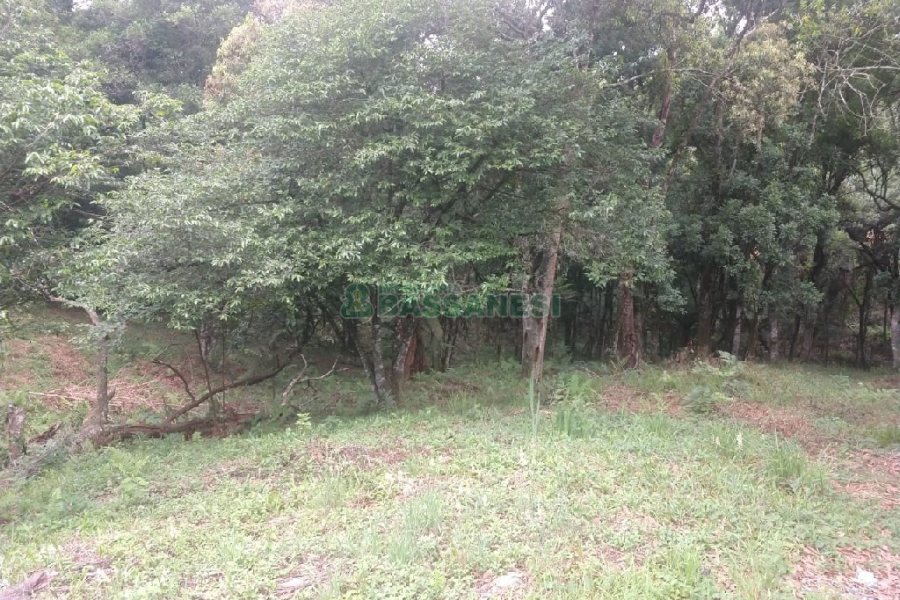 Chácara com 200m², 3 dormitórios, 1 vaga, no bairro Ana Rech em Caxias do Sul para Comprar