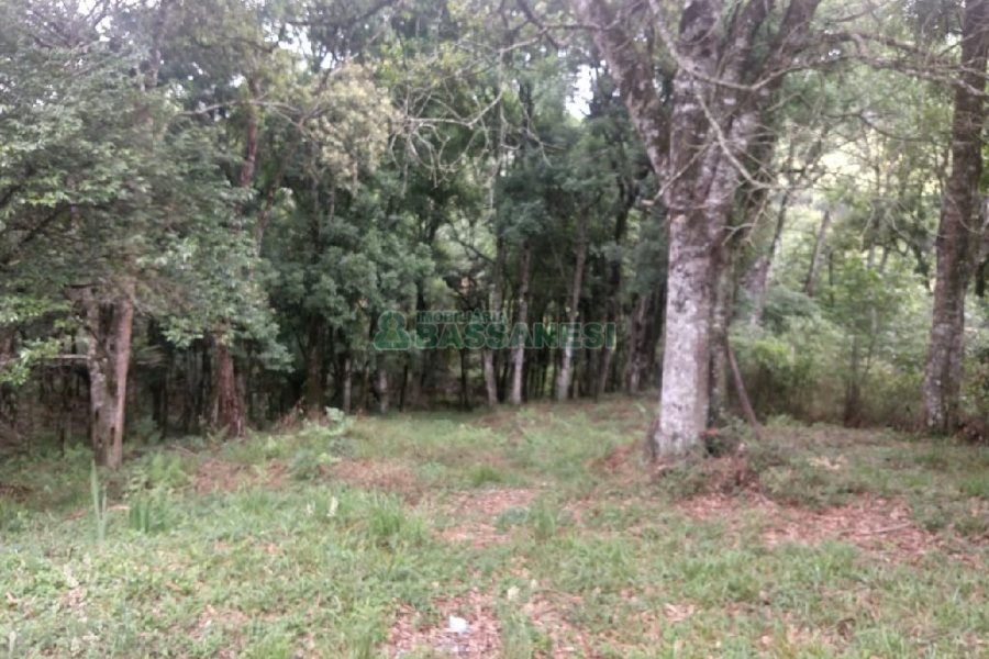 Chácara com 200m², 3 dormitórios, 1 vaga, no bairro Ana Rech em Caxias do Sul para Comprar