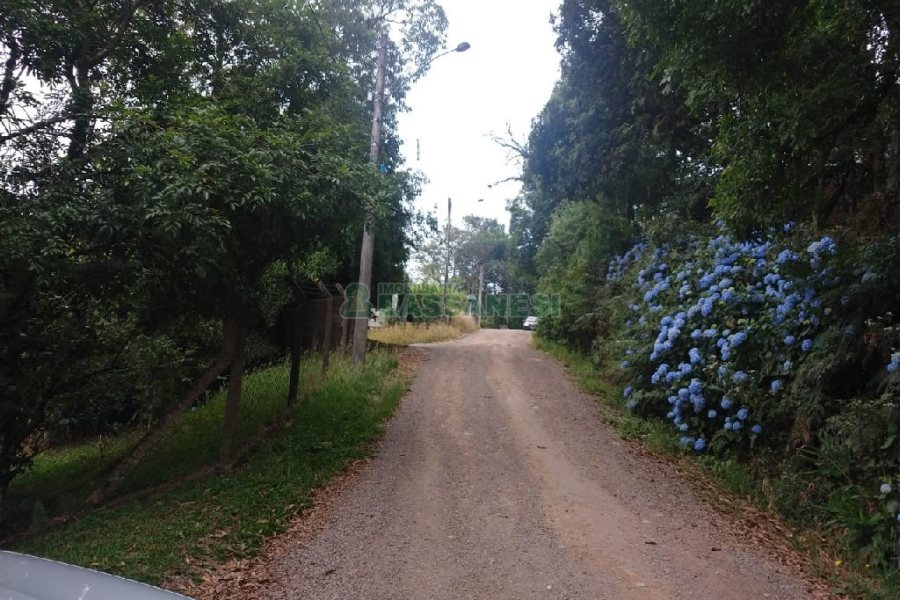 Chácara com 200m², 3 dormitórios, 1 vaga, no bairro Ana Rech em Caxias do Sul para Comprar