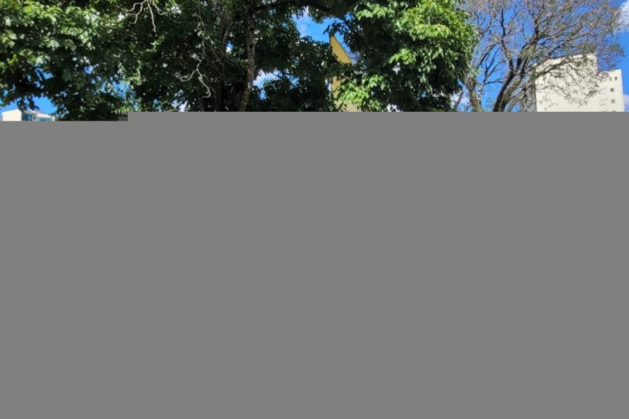 Terreno, no bairro Centro em Caxias do Sul para Comprar