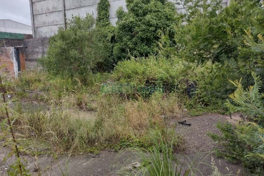 Terreno, no bairro Presidente Vargas em Caxias do Sul para Comprar