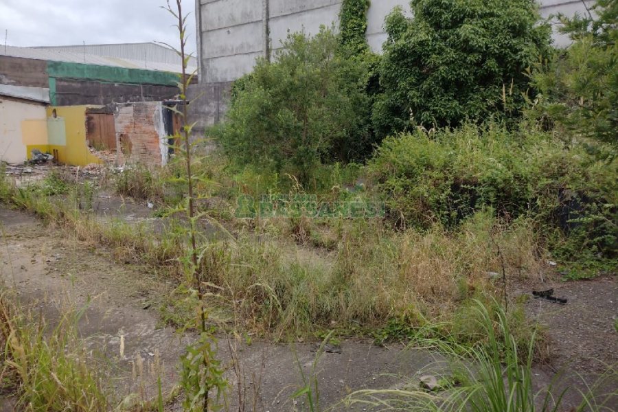 Terreno, no bairro Presidente Vargas em Caxias do Sul para Comprar