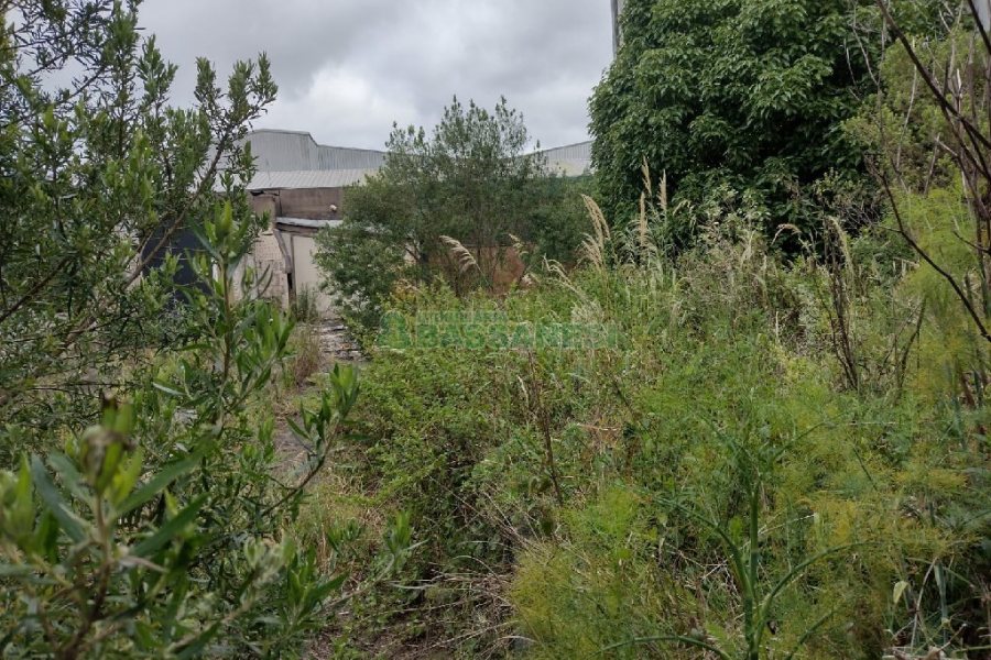 Terreno, no bairro Presidente Vargas em Caxias do Sul para Comprar