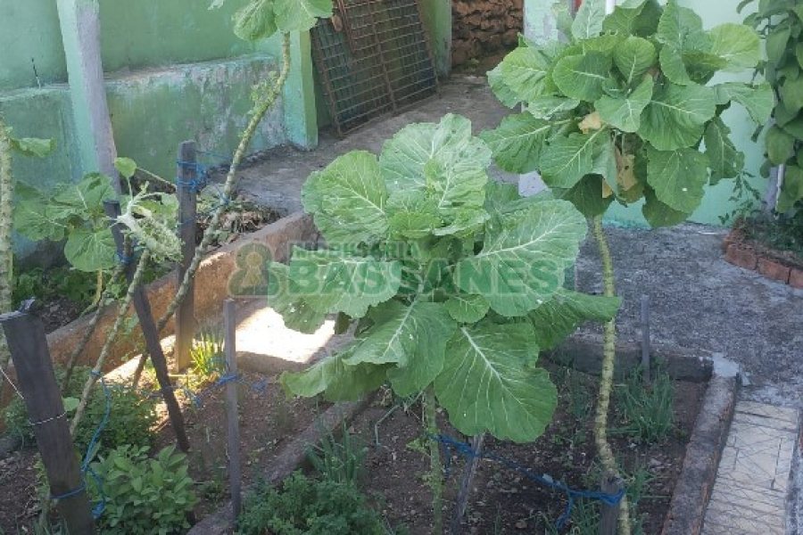 Casa com 252m², 5 dormitórios, no bairro Planalto em Caxias do Sul para Comprar