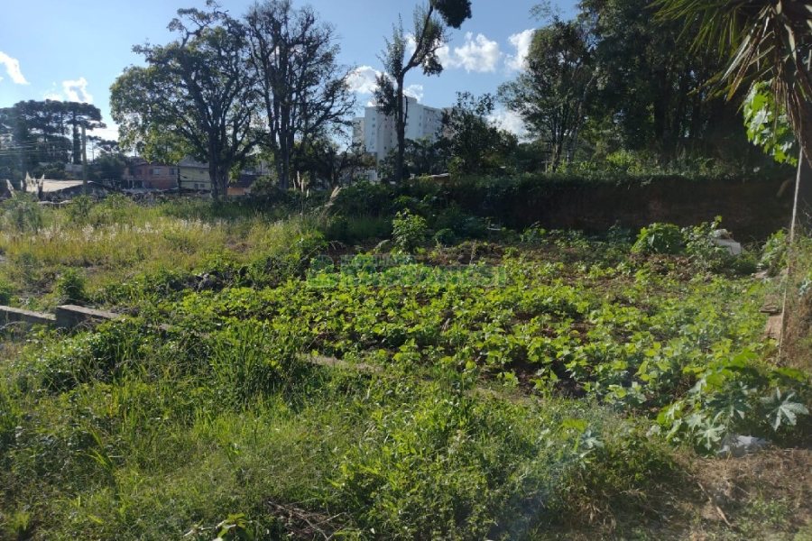 Terreno, no bairro Bela Vista em Caxias do Sul para Comprar