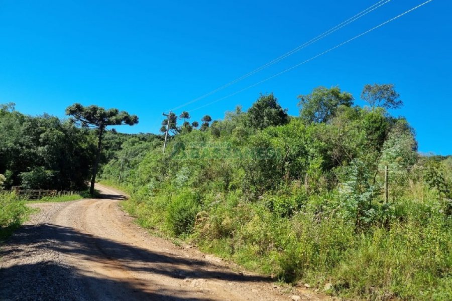 Chácara, no bairro Vila Seca em Caxias do Sul para Comprar