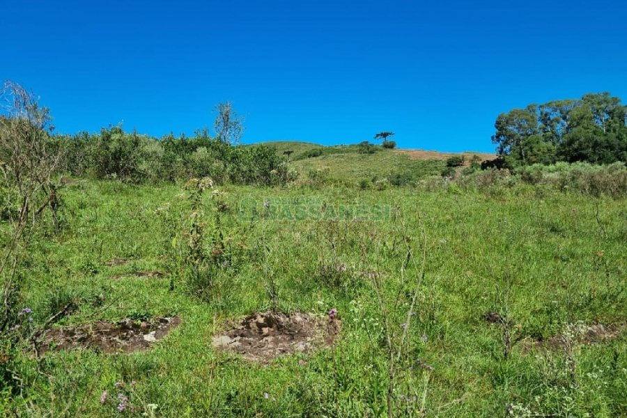 Chácara, no bairro Vila Seca em Caxias do Sul para Comprar