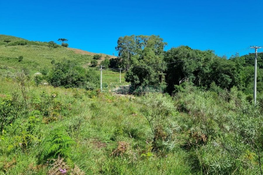 Chácara, no bairro Vila Seca em Caxias do Sul para Comprar