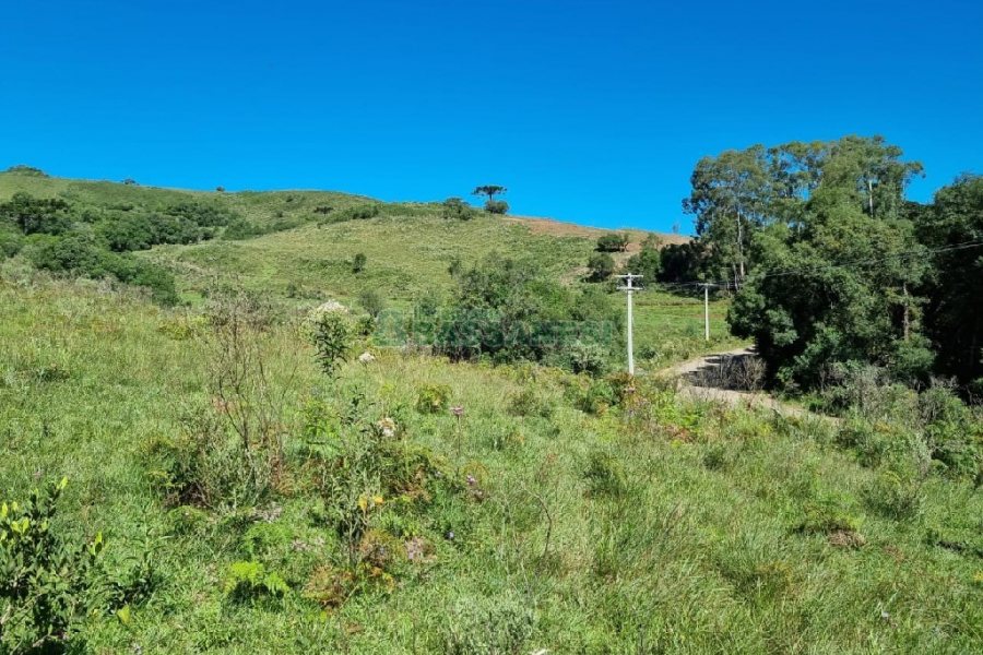 Chácara, no bairro Vila Seca em Caxias do Sul para Comprar