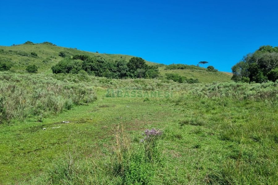 Chácara, no bairro Vila Seca em Caxias do Sul para Comprar