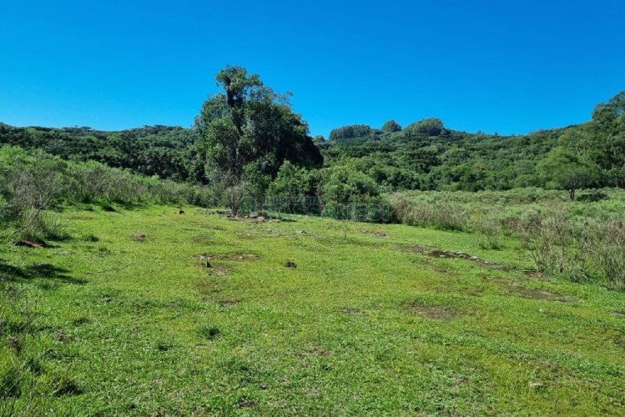 Chácara, no bairro Vila Seca em Caxias do Sul para Comprar