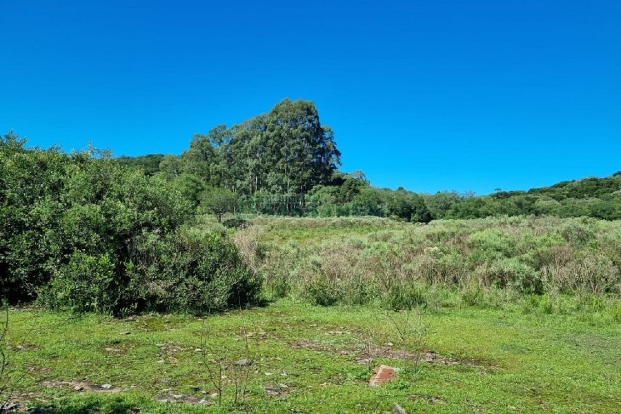 Chácara, no bairro Vila Seca em Caxias do Sul para Comprar