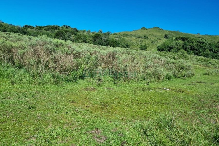 Chácara, no bairro Vila Seca em Caxias do Sul para Comprar