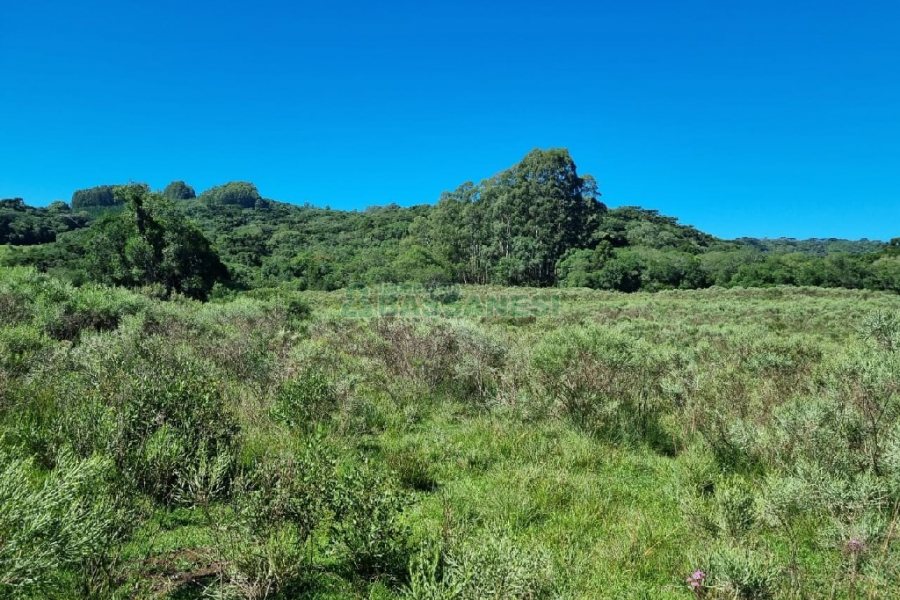 Chácara, no bairro Vila Seca em Caxias do Sul para Comprar