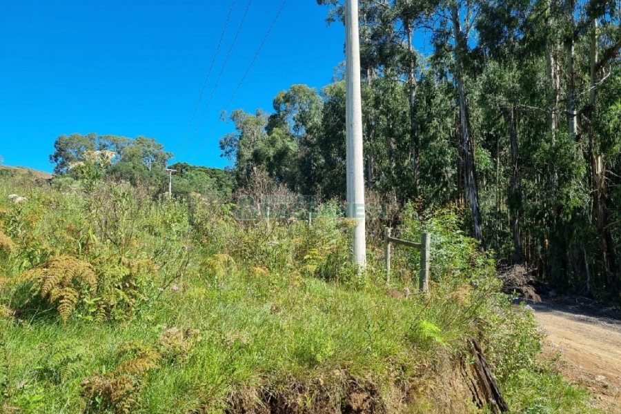 Chácara, no bairro Vila Seca em Caxias do Sul para Comprar