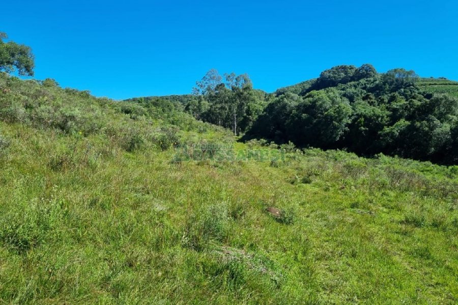 Chácara, no bairro Vila Seca em Caxias do Sul para Comprar