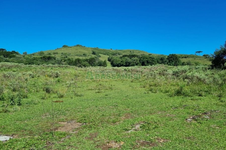 Chácara, no bairro Vila Seca em Caxias do Sul para Comprar