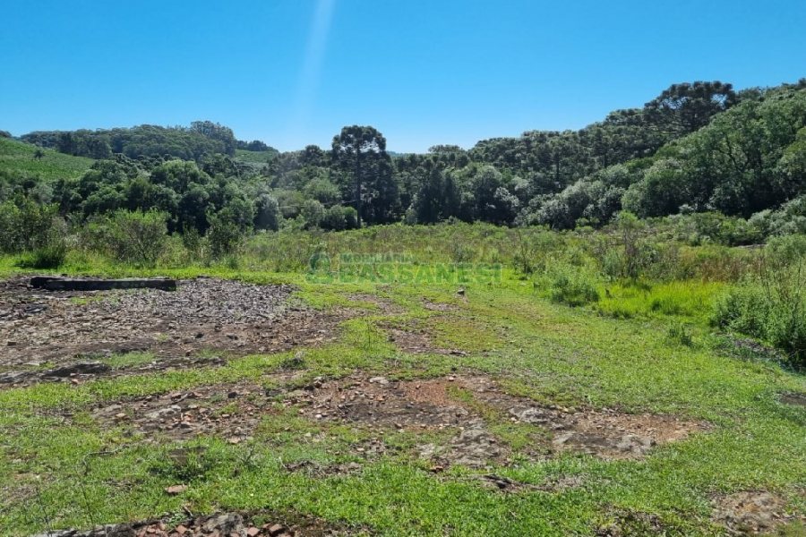 Chácara, no bairro Vila Seca em Caxias do Sul para Comprar