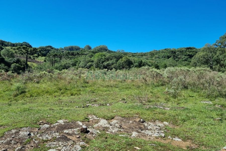 Chácara, no bairro Vila Seca em Caxias do Sul para Comprar