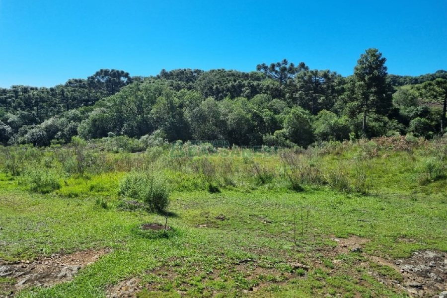 Chácara, no bairro Vila Seca em Caxias do Sul para Comprar