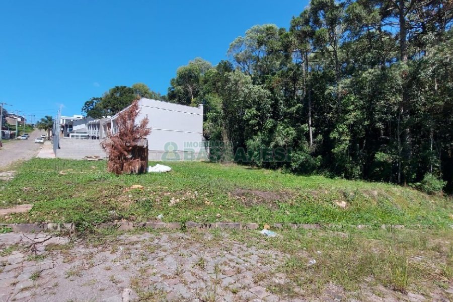 Terreno, no bairro Ana Rech em Caxias do Sul para Comprar