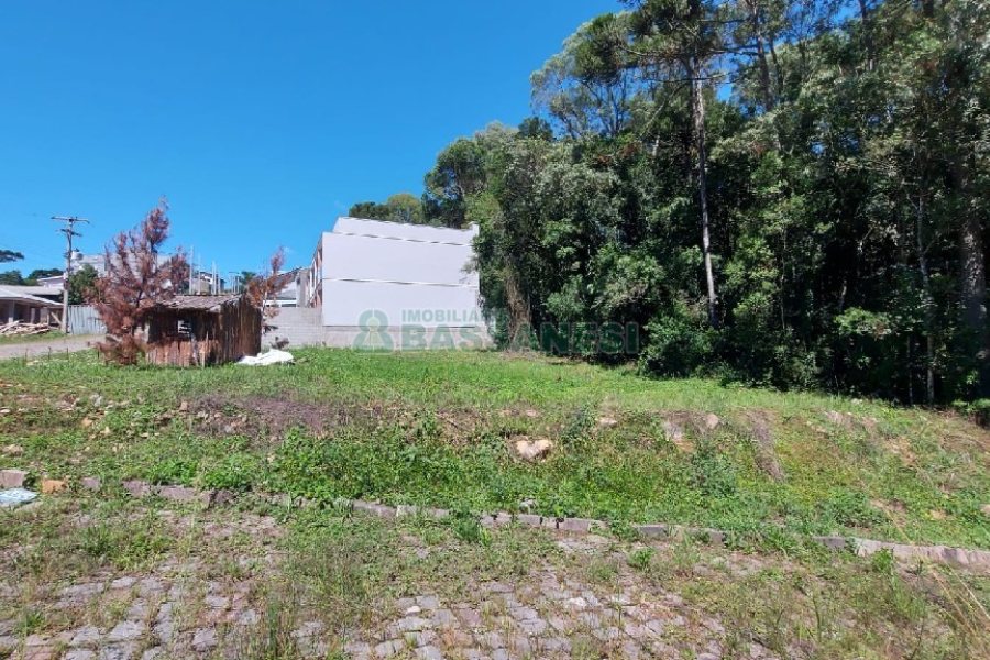 Terreno, no bairro Ana Rech em Caxias do Sul para Comprar