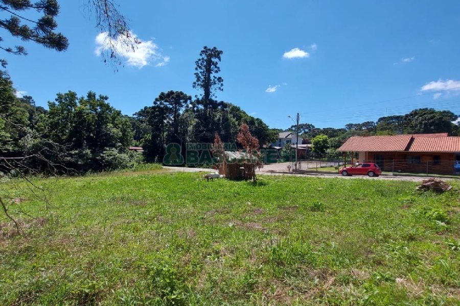 Terreno, no bairro Ana Rech em Caxias do Sul para Comprar