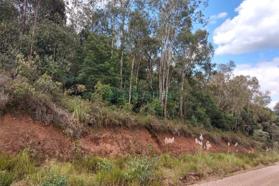 Chácara, no bairro 3 Legua em Caxias do Sul para Comprar
