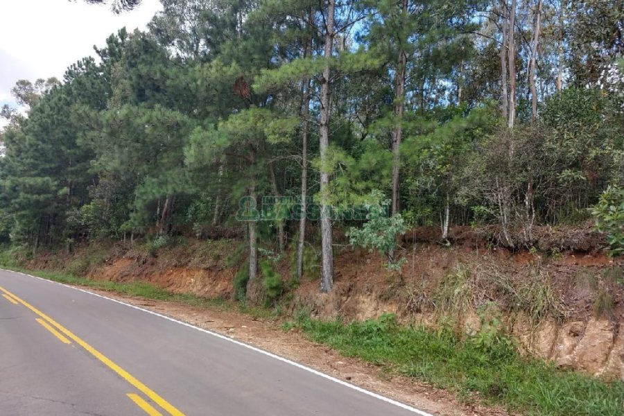 Chácara, no bairro 3 Legua em Caxias do Sul para Comprar