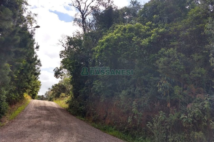 Chácara, no bairro 3 Legua em Caxias do Sul para Comprar