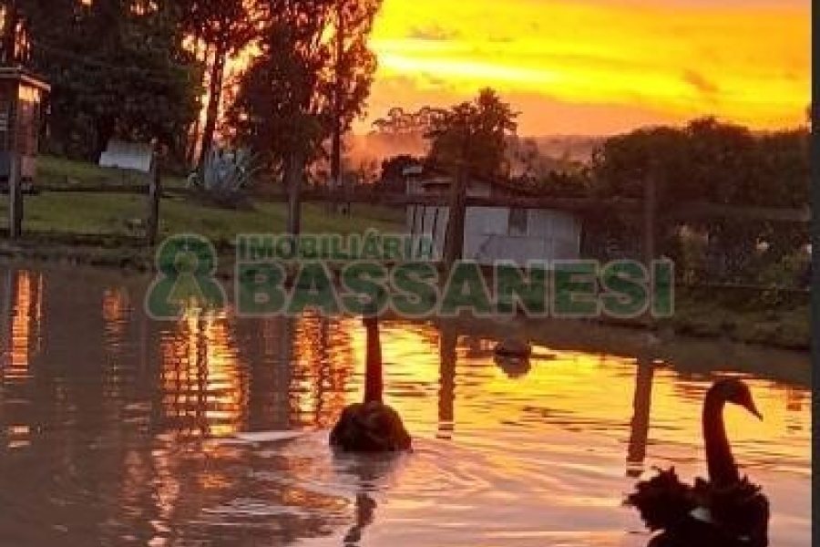 Chácara com 170m², 3 dormitórios, no bairro Ana Rech em Caxias do Sul para Comprar