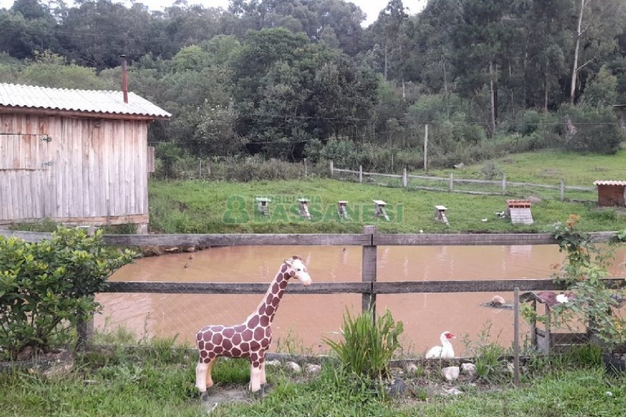 Chácara com 170m², 3 dormitórios, no bairro Ana Rech em Caxias do Sul para Comprar