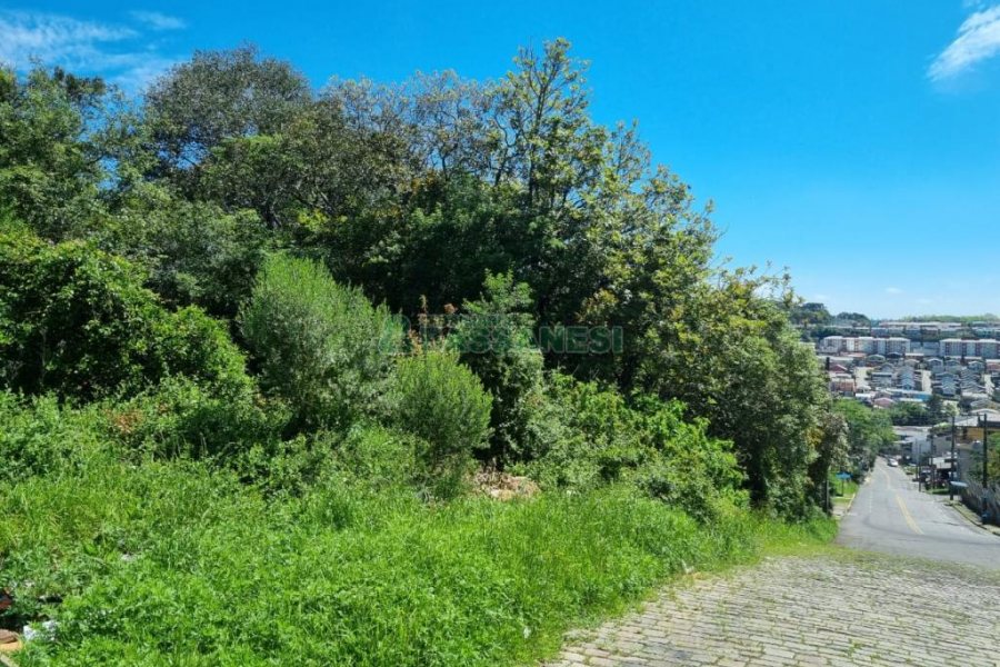 Terreno, no bairro São Caetano em Caxias do Sul para Comprar