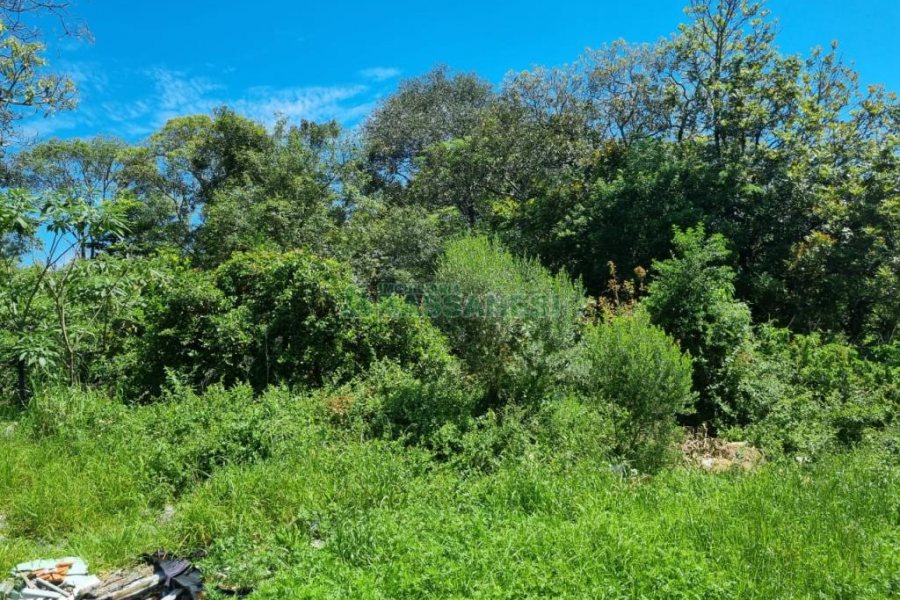 Terreno, no bairro São Caetano em Caxias do Sul para Comprar