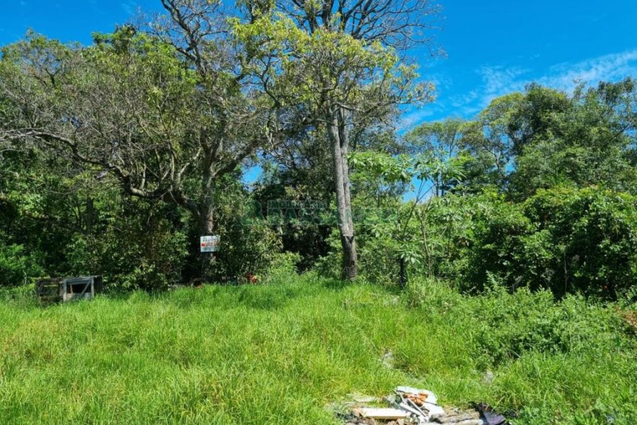 Terreno, no bairro São Caetano em Caxias do Sul para Comprar
