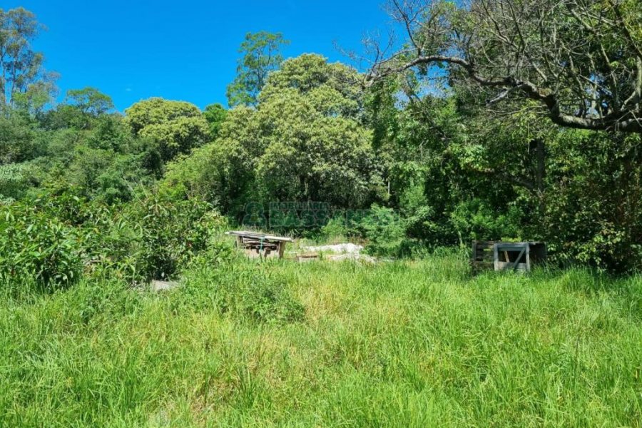 Terreno, no bairro São Caetano em Caxias do Sul para Comprar