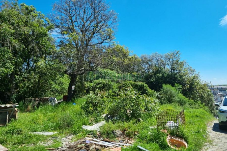Terreno, no bairro São Caetano em Caxias do Sul para Comprar