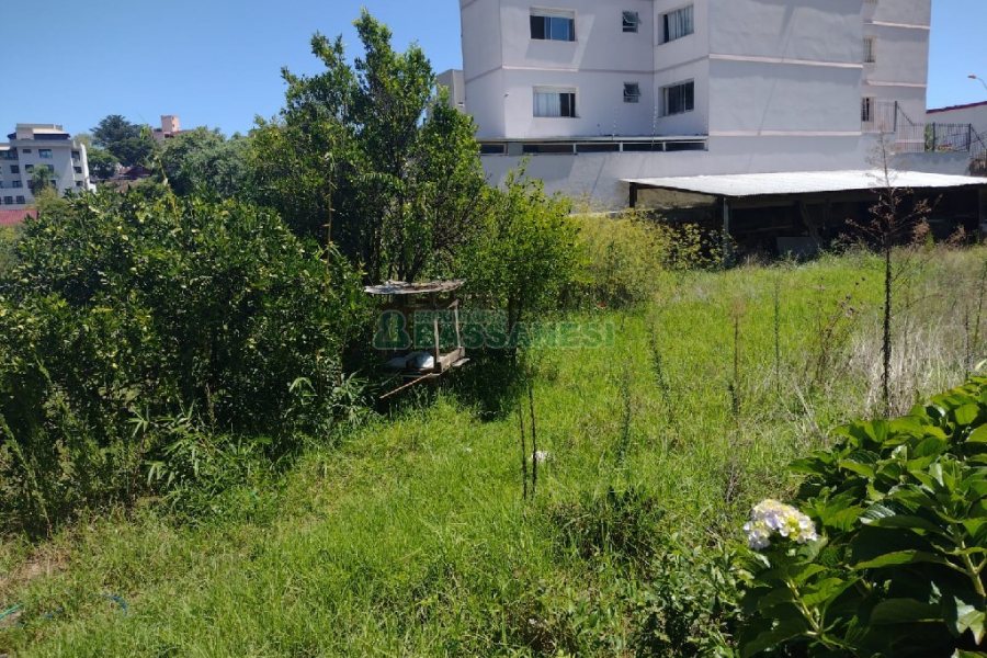 Terreno com 1350m², no bairro Pio X em Caxias do Sul para Comprar