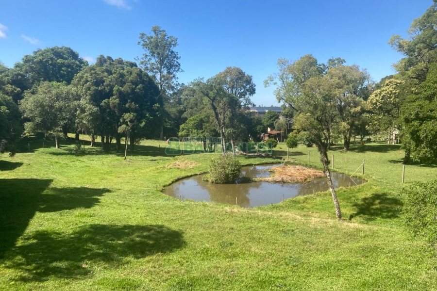Pavilhão com 2600m², no bairro Fazenda Souza em Caxias do Sul para Comprar