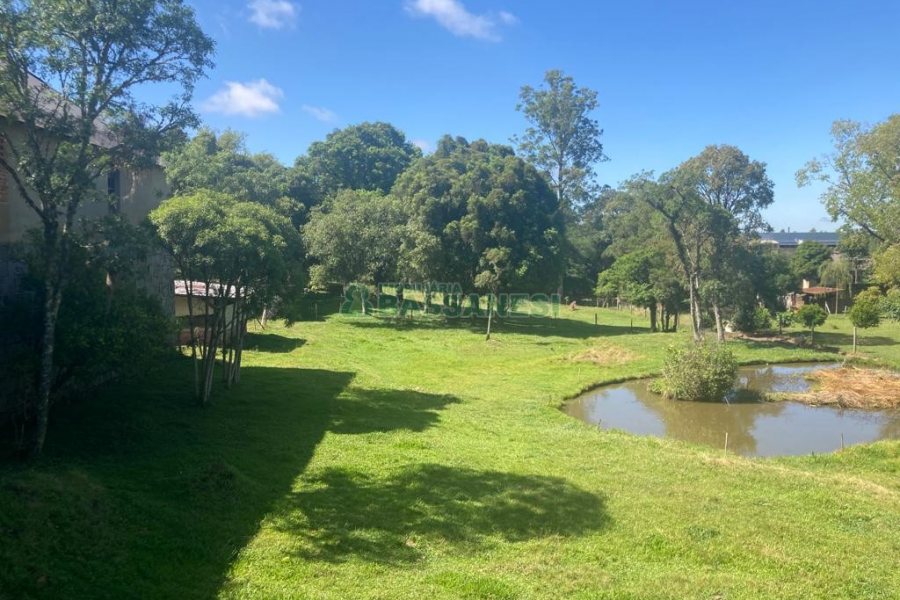 Pavilhão com 2600m², no bairro Fazenda Souza em Caxias do Sul para Comprar
