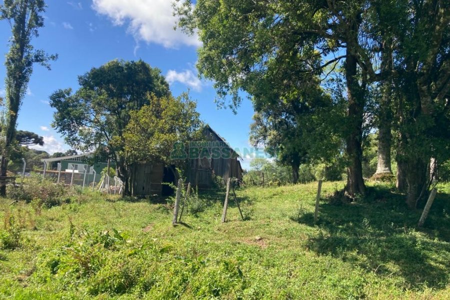 Pavilhão com 2600m², no bairro Fazenda Souza em Caxias do Sul para Comprar