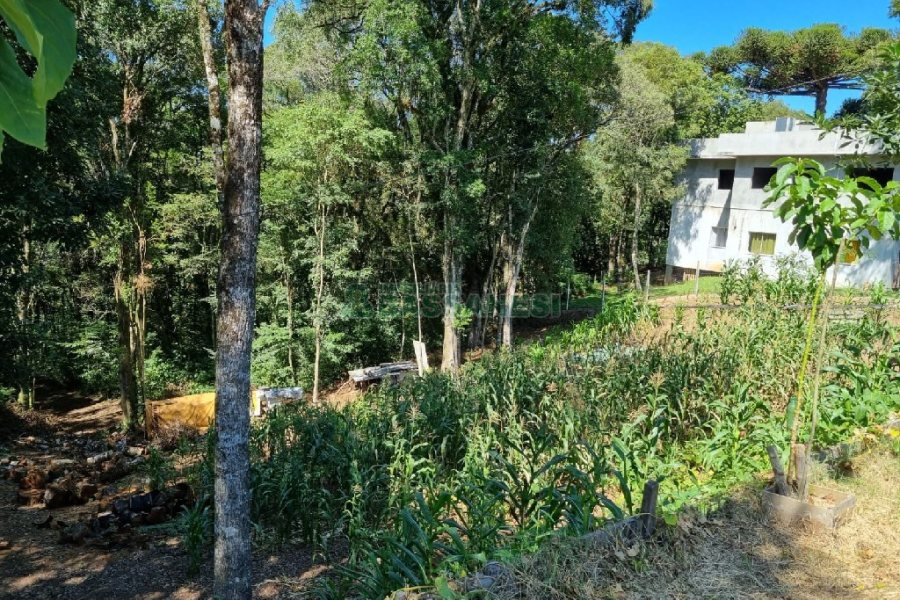 Terreno, no bairro Pedancino em Caxias do Sul para Comprar