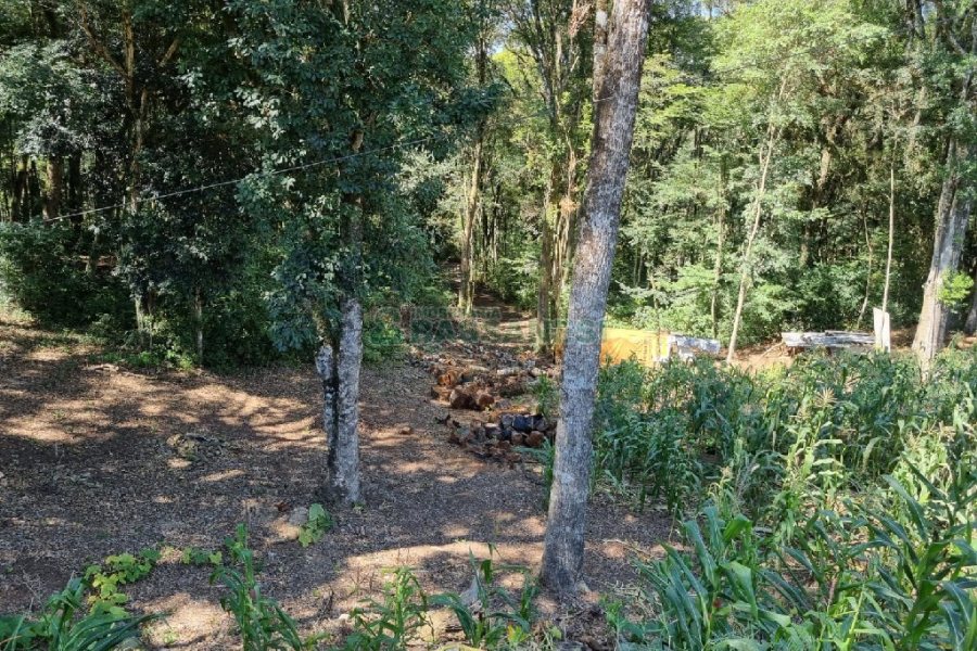 Terreno, no bairro Pedancino em Caxias do Sul para Comprar