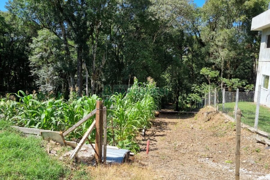 Terreno, no bairro Pedancino em Caxias do Sul para Comprar