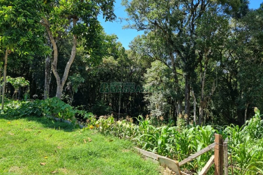 Terreno, no bairro Pedancino em Caxias do Sul para Comprar