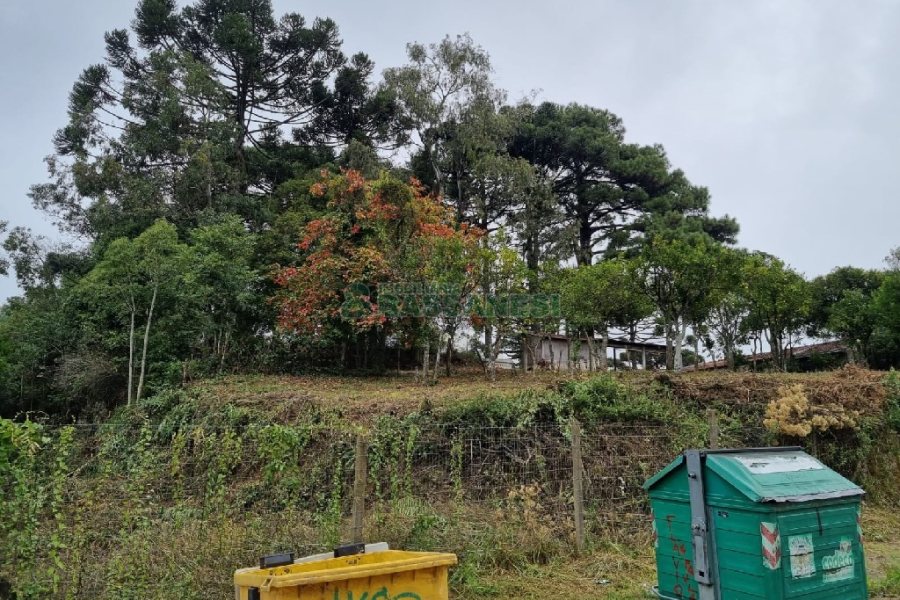 Terreno, no bairro Sagrada Família em Caxias do Sul para Comprar