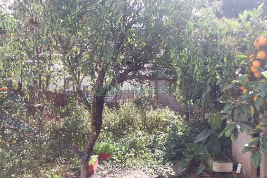 Terreno, no bairro Centro em Caxias do Sul para Comprar