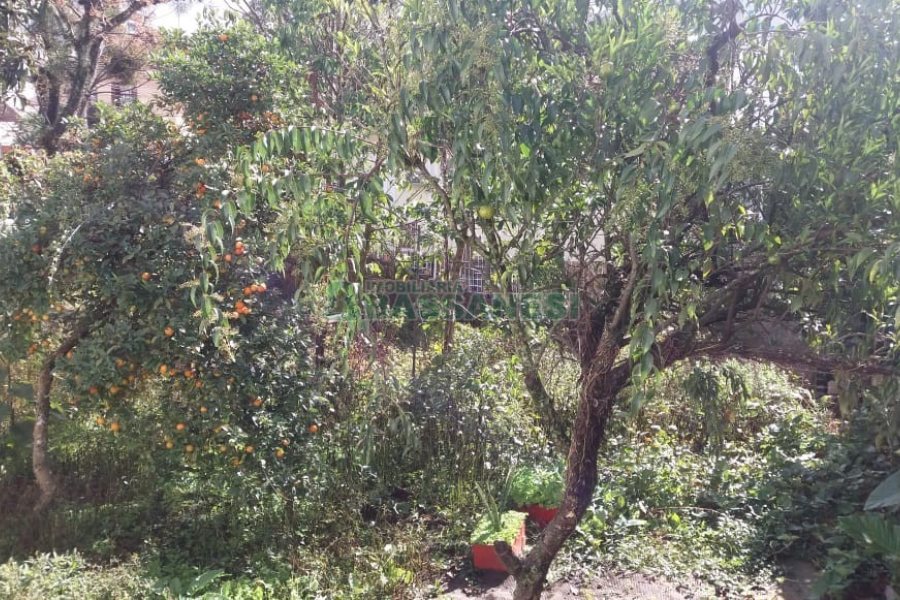 Terreno, no bairro Centro em Caxias do Sul para Comprar