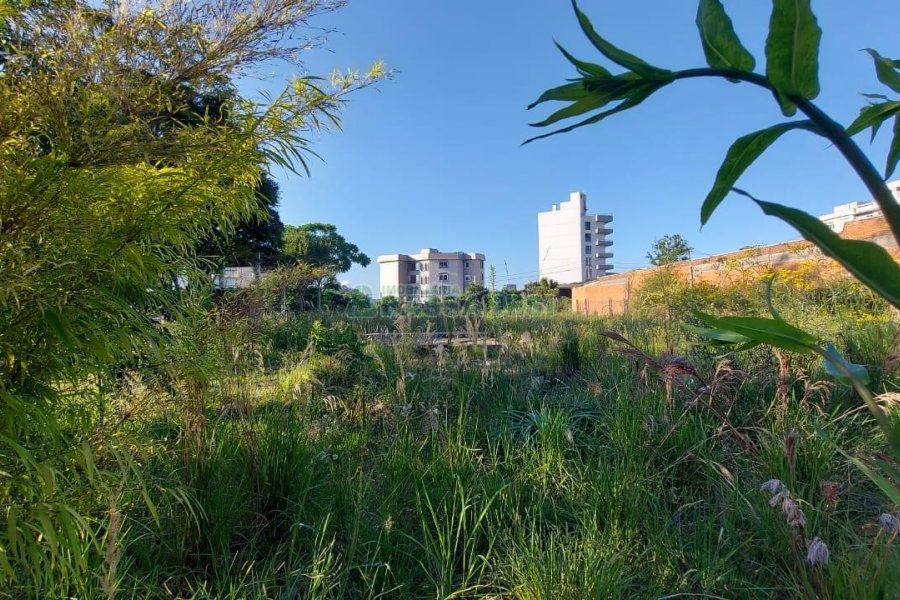 Terreno com 200m², no bairro Cinqüentenário em Caxias do Sul para Alugar